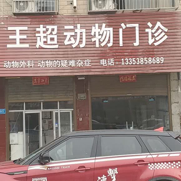 王超宠物医院:周口市郸城县