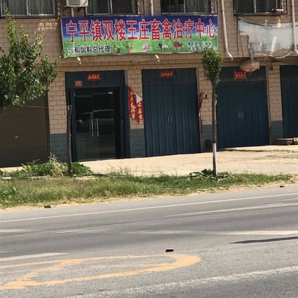 郸城县双楼王庄动物保健中心:周口市郸城县