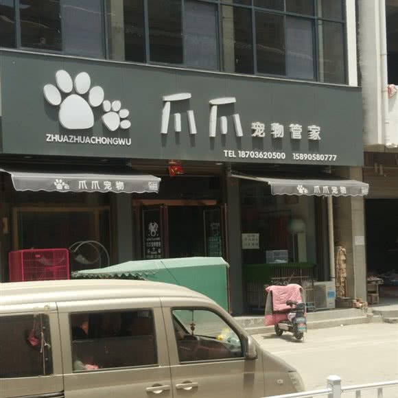 爪爪宠物管家:周口市太康县