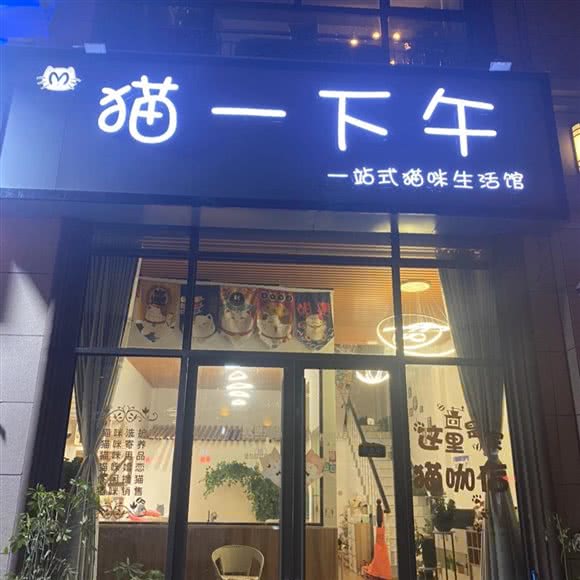 猫一下午 一站式猫咪生活馆:周口市太康县