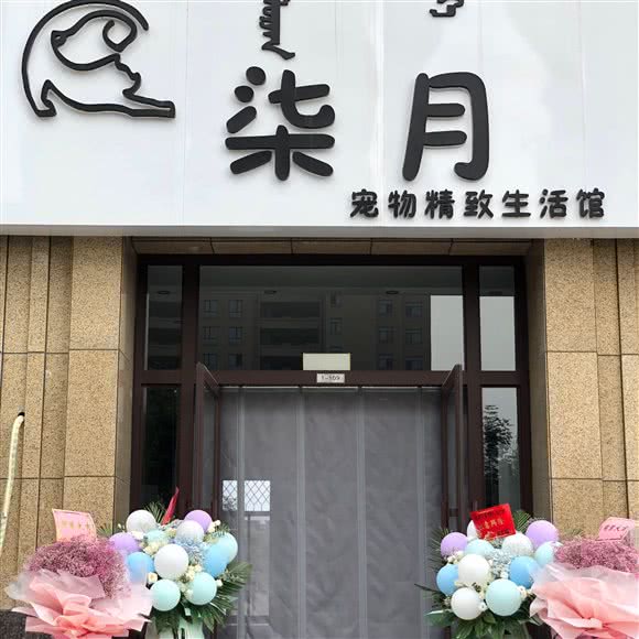 柒月宠物典雅生活馆:赤峰市松山区松山万达广场附近