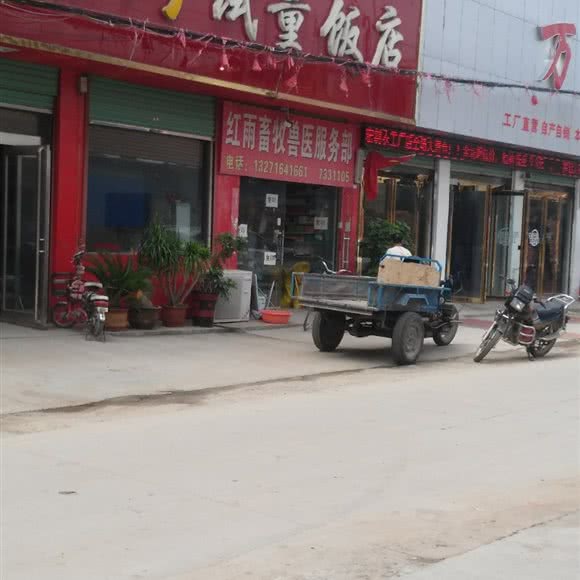 红雨农牧业兽医服务部:周口市鹿邑县