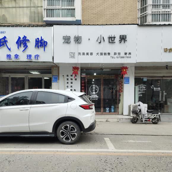 宠物·小世界:周口市项城市