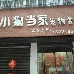 小狗当家宠物会所:周口市项城市