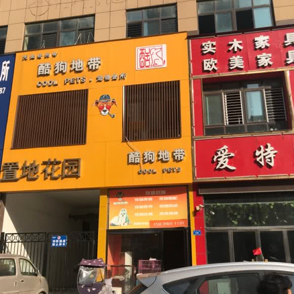 酷狗地带宠物会所:驻马店市驿城区