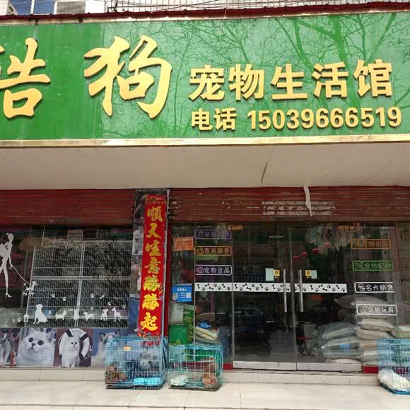 酷狗宠物生活馆:驻马店市西平县