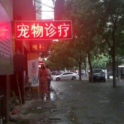西平县生机农牧宠物诊疗:驻马店市西平县