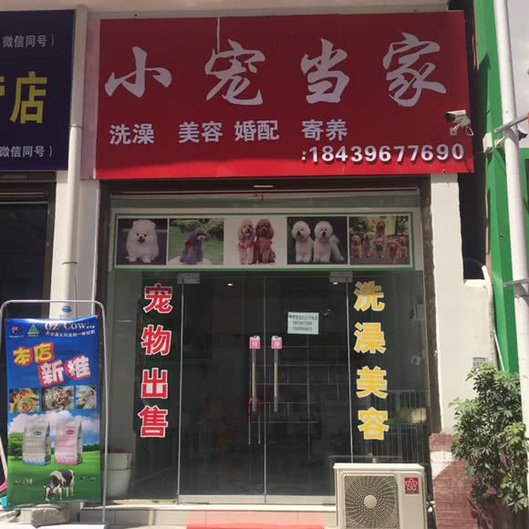 小宠当家:驻马店市上蔡县