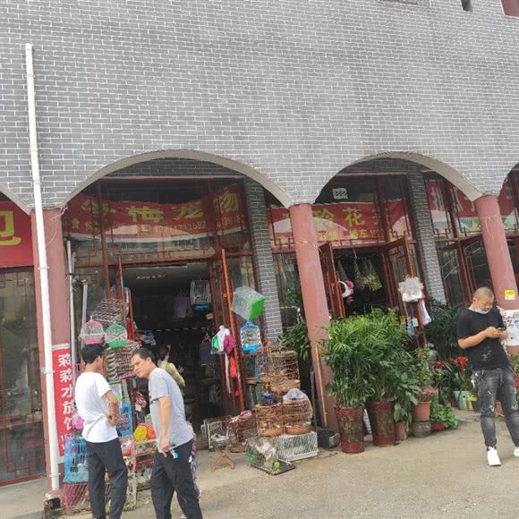 冬梅宠物:驻马店市新蔡县
