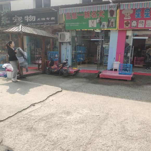 富慧一族名犬:武汉市江岸区