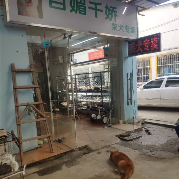 百媚千娇:武汉市江岸区