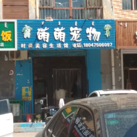 萌萌宠物:通辽市科尔沁区万达广场附近