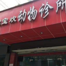 宝宝欢动物诊所:武汉市江汉区