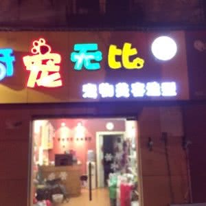 奇宠无比宠物美容造型:武汉市硚口区