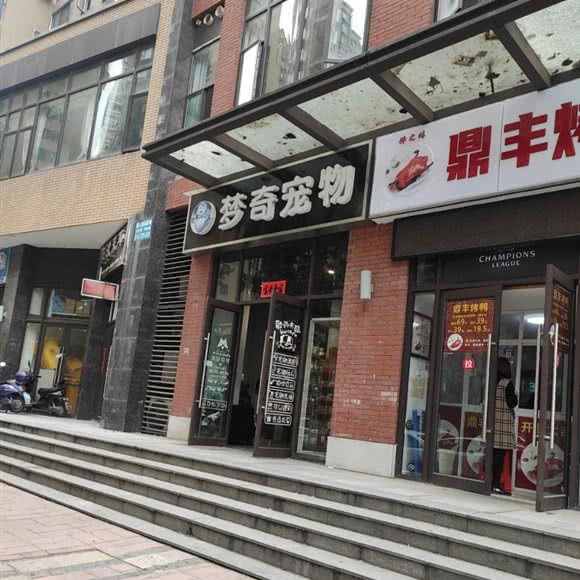 梦奇宠物:武汉市洪山区