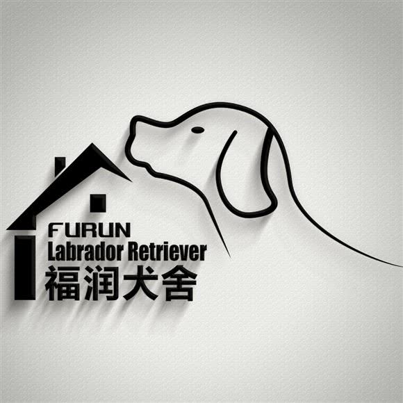 福润犬业·专业纽芬兰柴犬柯基犬舍:武汉市洪山区