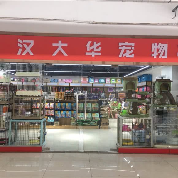 武汉大华宠物狗:武汉市黄陂区