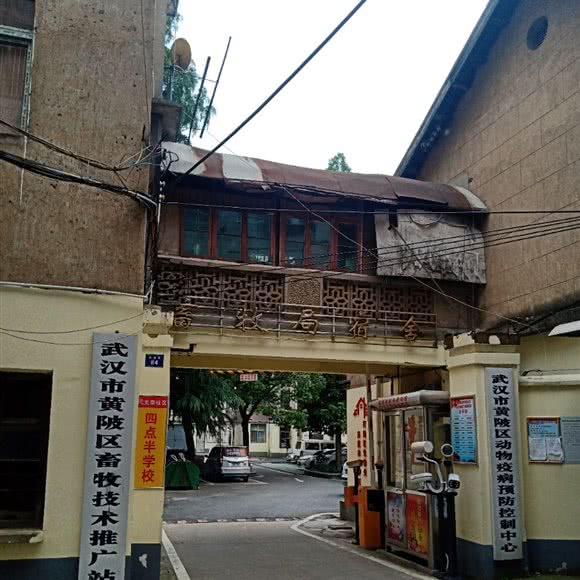 武汉市黄陂区兽牧兽医站:武汉市黄陂区