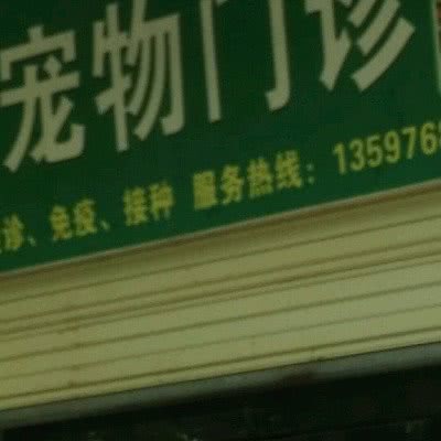 宠物门诊:黄石市大冶市