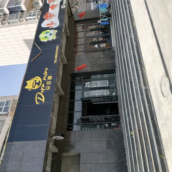 朵拉喵宠物会所(猫咖&猫舍):十堰市郧阳区