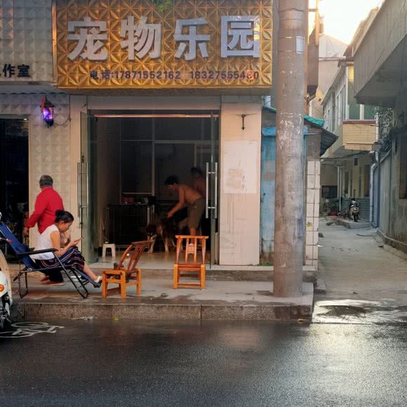 宠物乐园:襄阳市谷城县