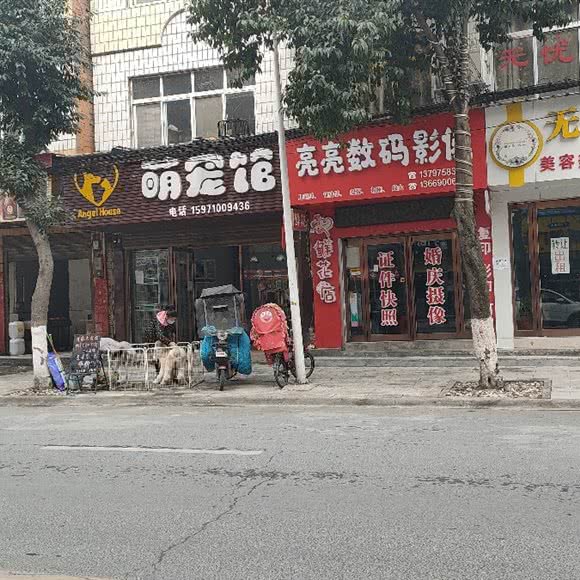 萌宠馆:襄阳市谷城县