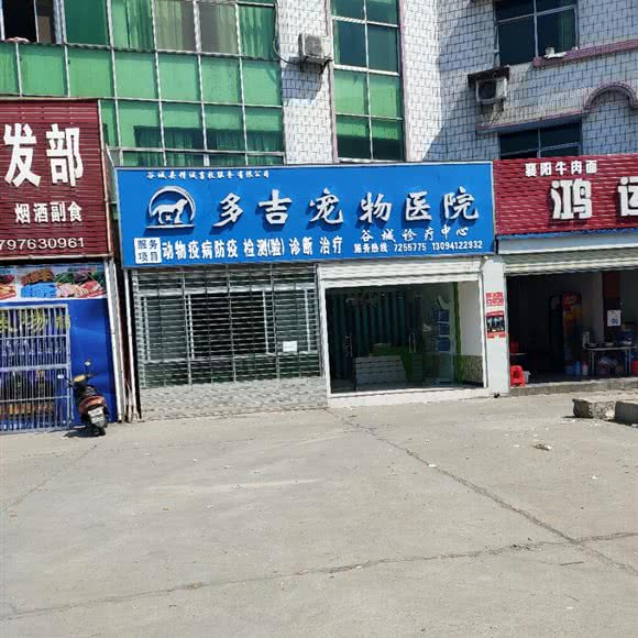 多吉宠物医院:襄阳市谷城县