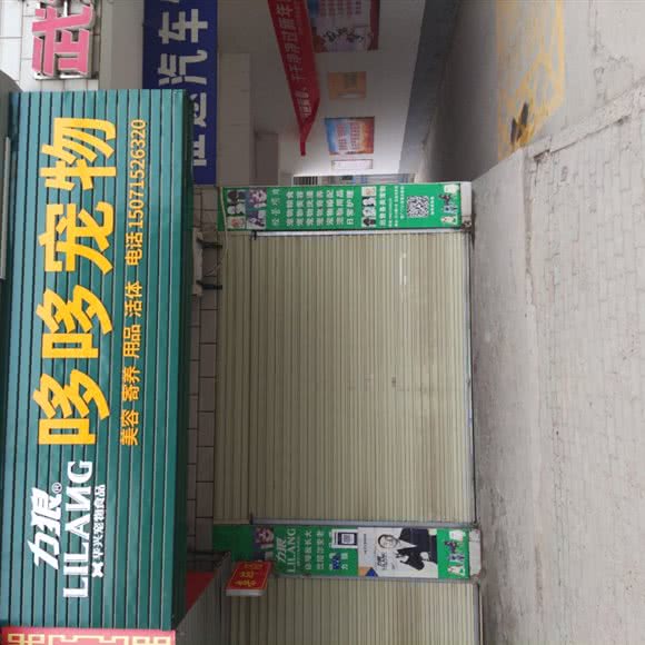 哆哆宠物:襄阳市老河口市