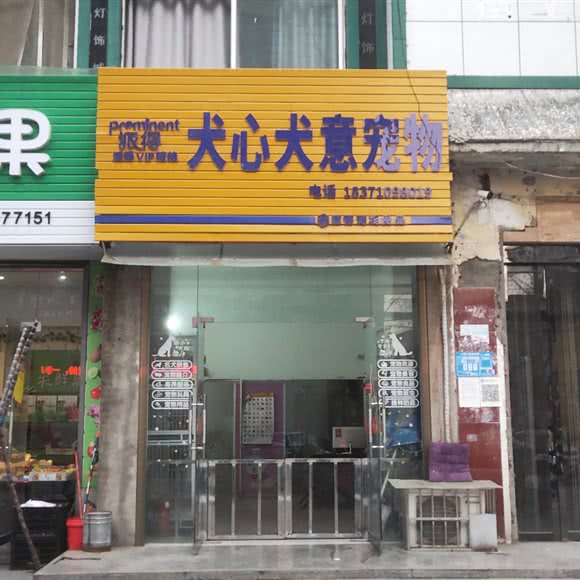 犬心犬意宠物:襄阳市老河口市