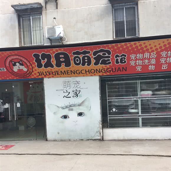 玖月萌宠馆:襄阳市枣阳市