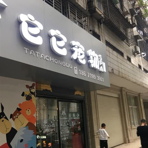 它它宠物SPA生活馆:荆门市东宝区