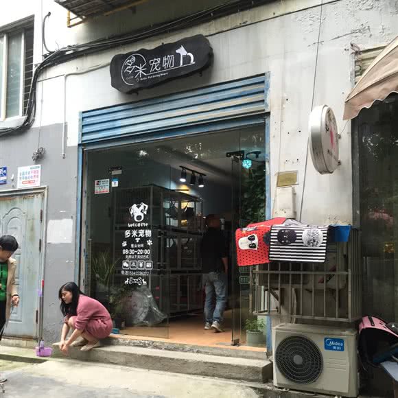 多米宠物:荆门市东宝区