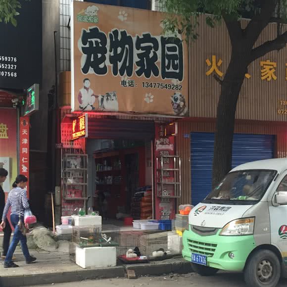 宠爱有家宠物家园:荆门市沙洋县