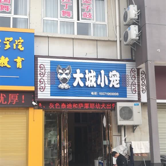 大城小宠:荆门市钟祥市