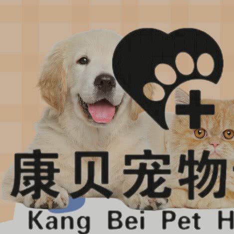 康贝宠物医院:鄂尔多斯市东胜区伊克昭公园附近
