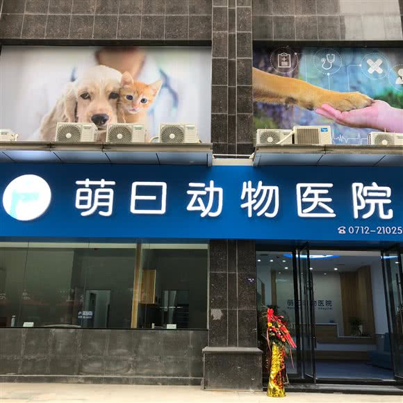 萌曰动物医院:孝感市孝南区