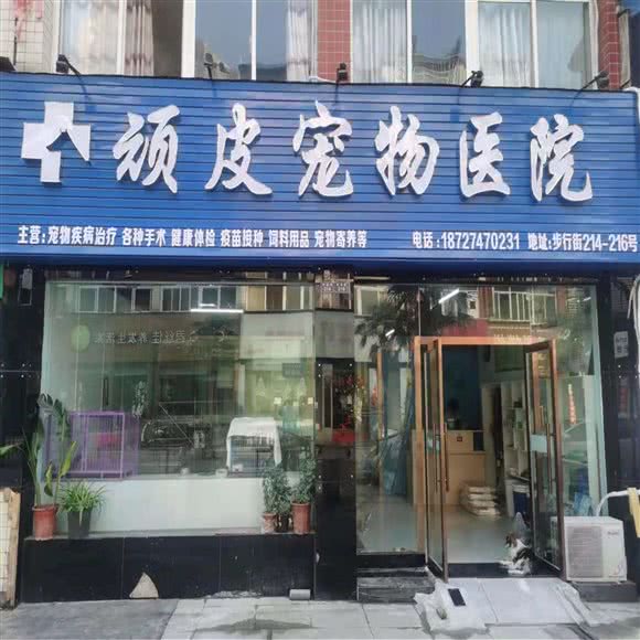 顽皮宠物医院:孝感市孝南区