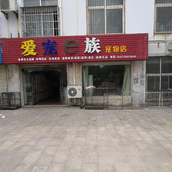 爱宠e族宠物店:孝感市大悟县