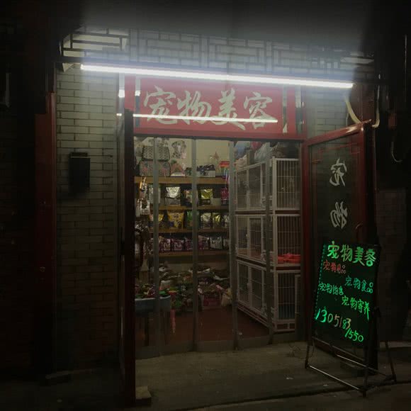 宠物美容:北京城区东城区雍和宫/地坛附近