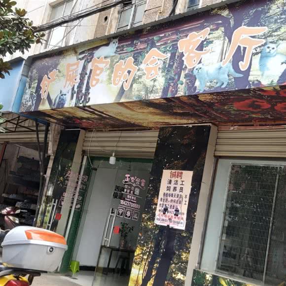 铲屎官的会客厅:孝感市应城市