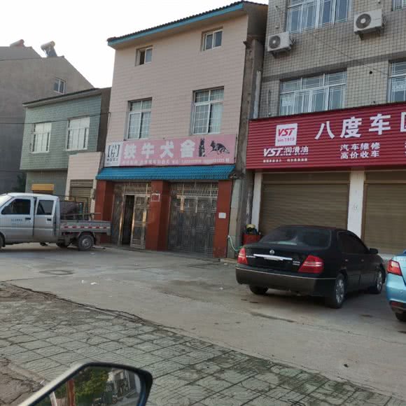 中国狼犬铁牛犬舍:荆州市江陵县