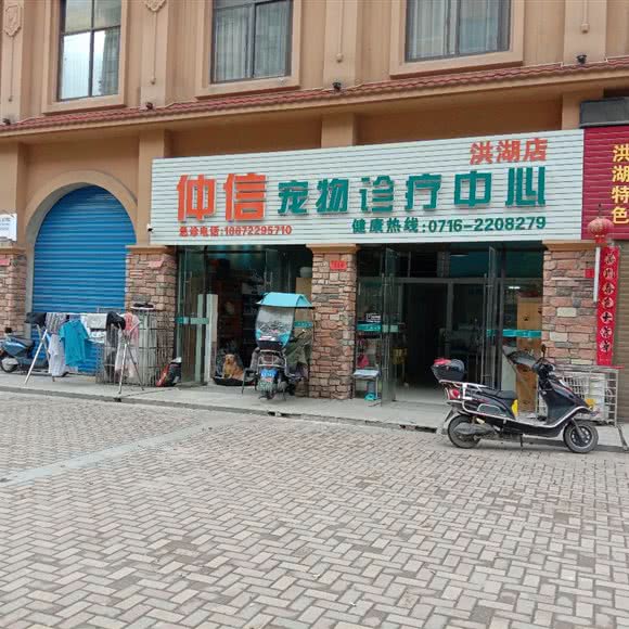 仲信宠物诊疗中心(洪湖店):荆州市洪湖市