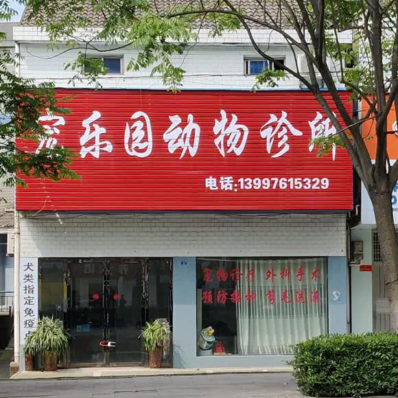 宠乐园动物诊所:荆州市松滋市