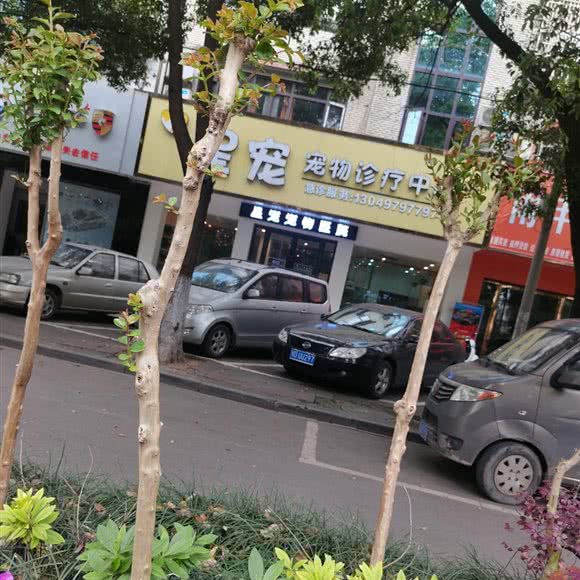 星宠宠物医院:荆州市松滋市