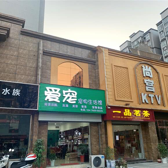 爱宠宠物生活馆:黄冈市罗田县
