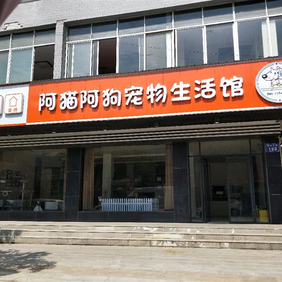 阿猫阿狗宠物生活馆:黄冈市蕲春县