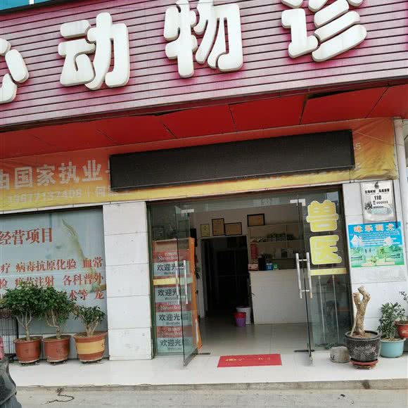 爱心动物诊所:黄冈市蕲春县