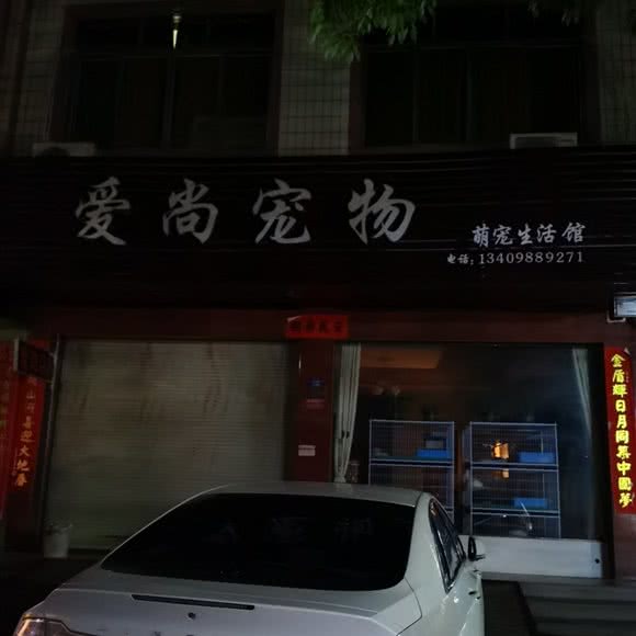 爱尚宠物狗:黄冈市黄梅县