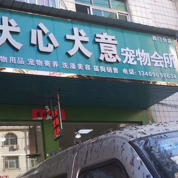 犬心犬意宠物会所(西门店):黄冈市黄梅县