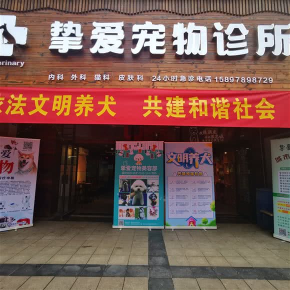 挚爱宠物诊所(黄梅店):黄冈市黄梅县